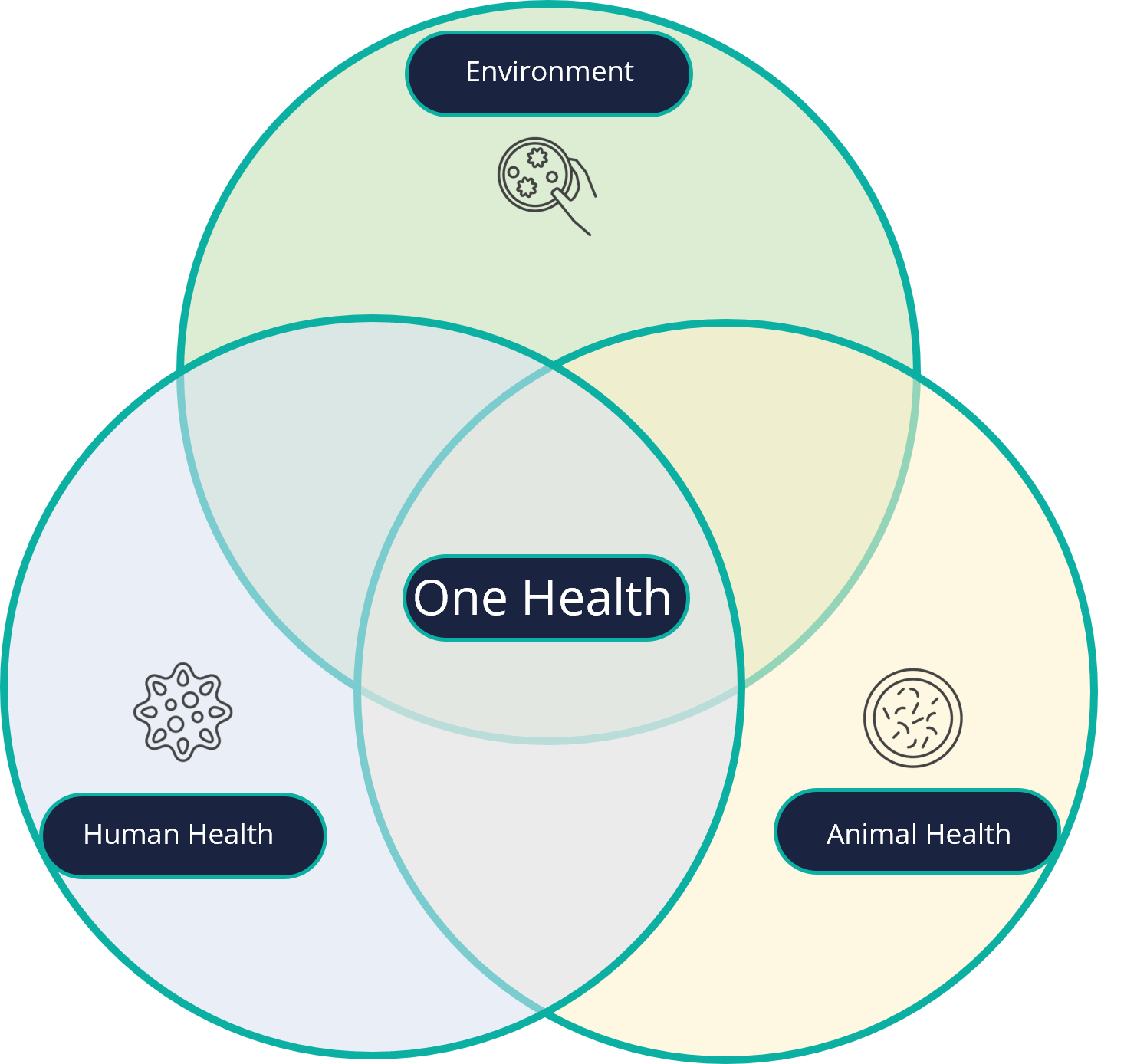 The One Health Concept And Its Two Pillars Vibiosphen The One Health Concept And Its Two Pillars Vibiosphen